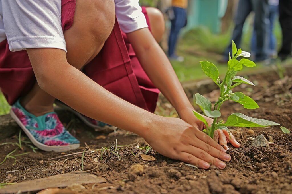 kid planting a tree