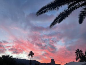 sunset and a palm tree
