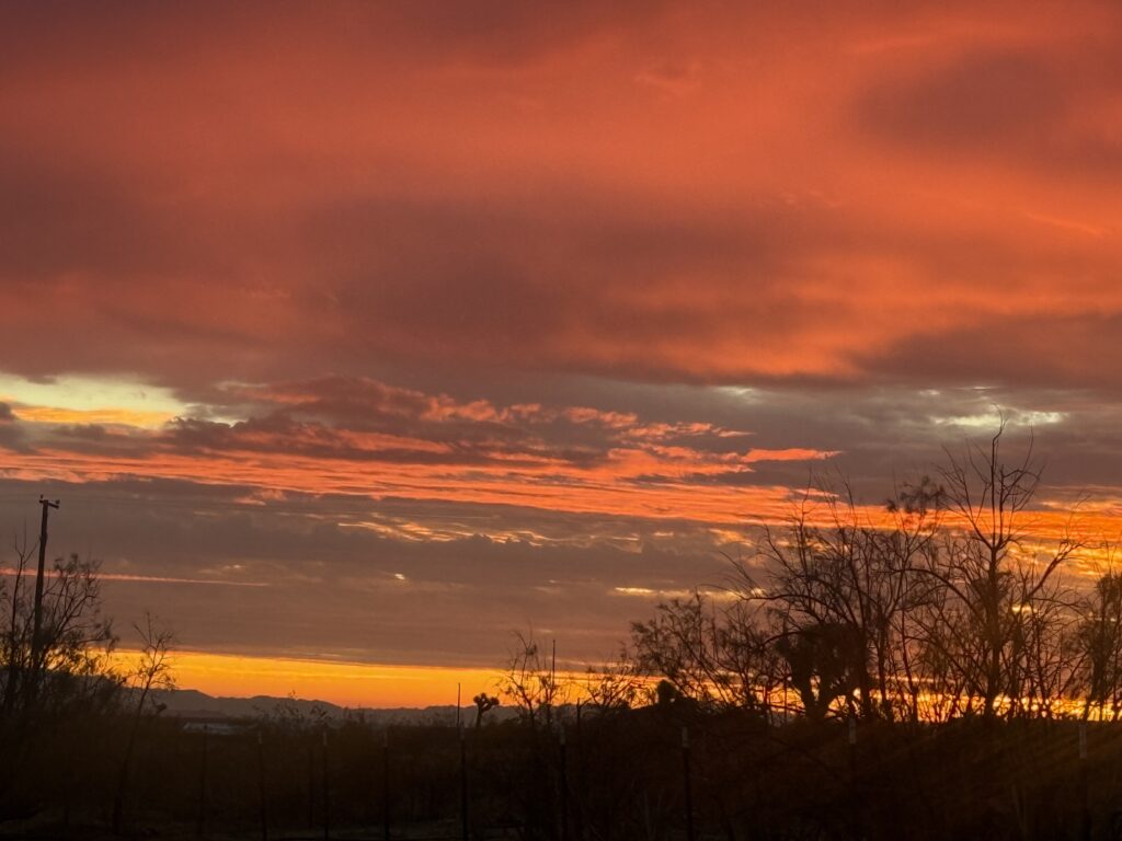 Fiery desert dawn silhouette
