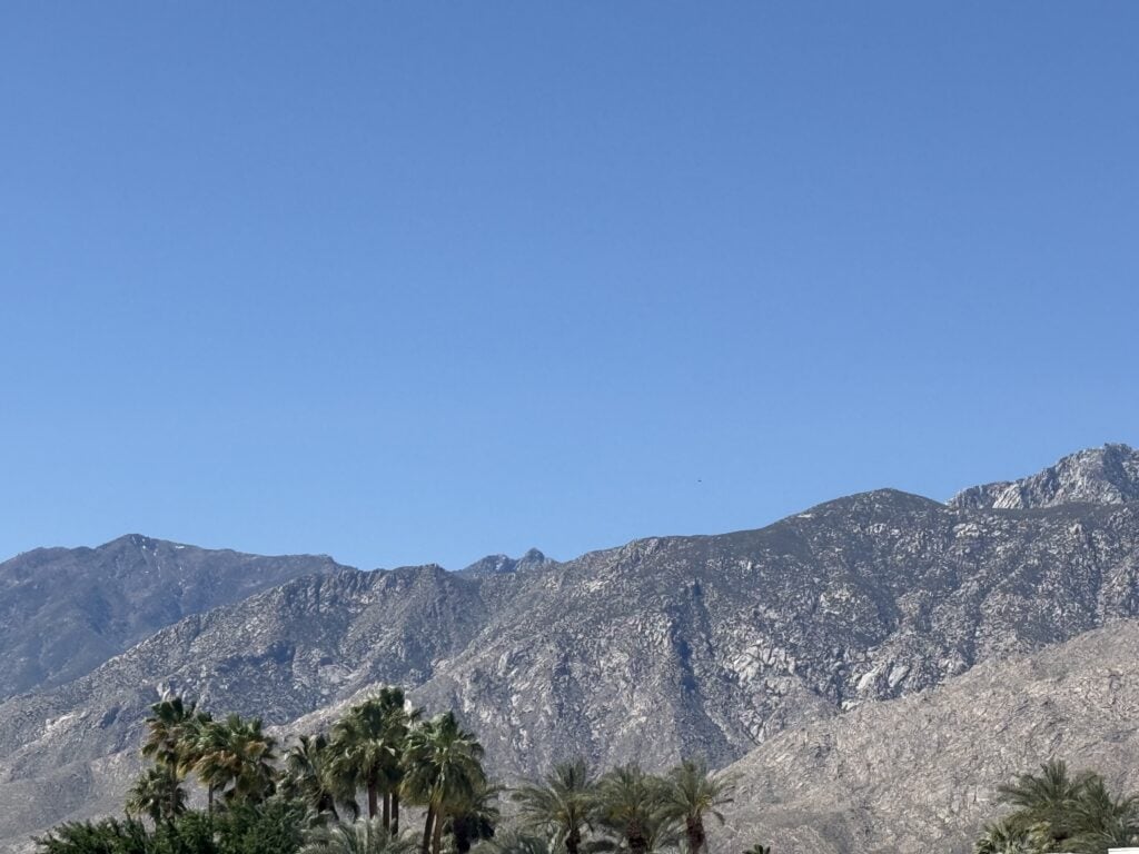Rocky mountains rising behind palm trees under a clear blue California sky