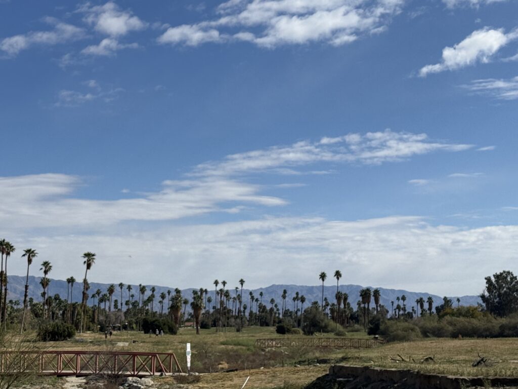 City skyline under bright blue sky