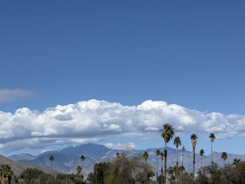 Palm trees against a wide sky with distant mountains and soft clouds