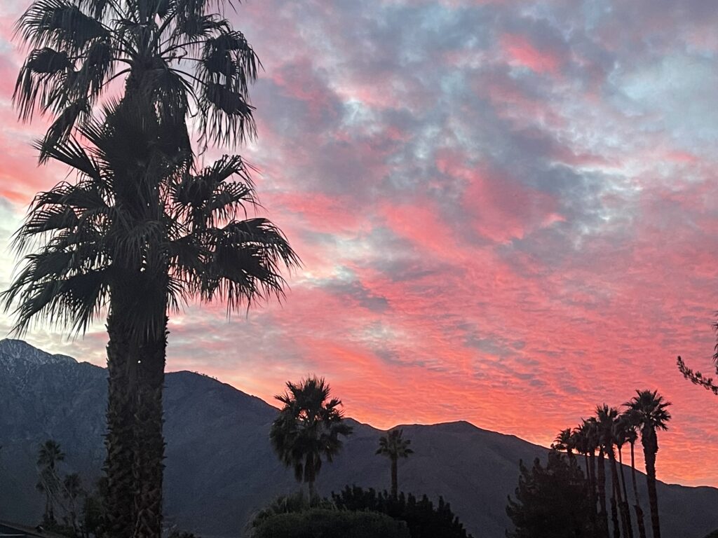 Vibrant sunset sky behind silhouetted palms