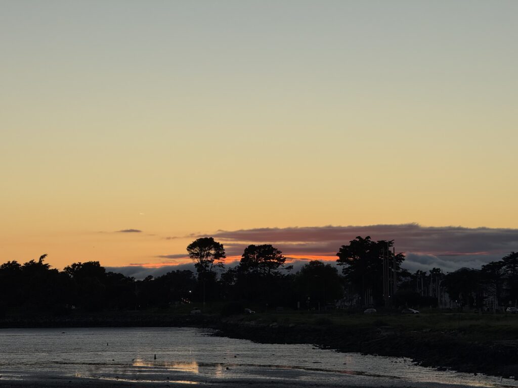 Quiet sunset over silhouetted riverside trees
