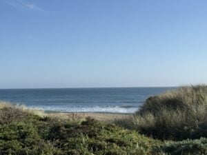 Calm ocean horizon with gentle waves and coastal vegetation