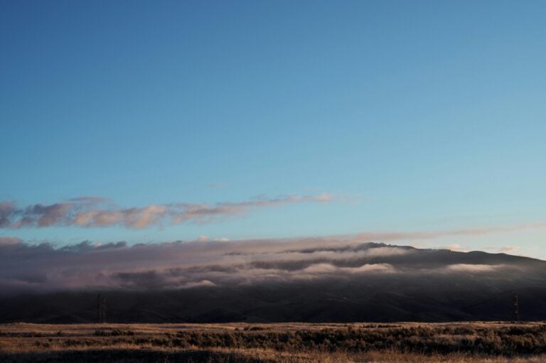 Rolling hills covered in soft morning fog beneath a clear blue sky