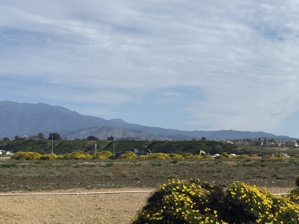 A quiet desert landscape with flowering shrubs, distant mountains, and a cloudy blue sky.