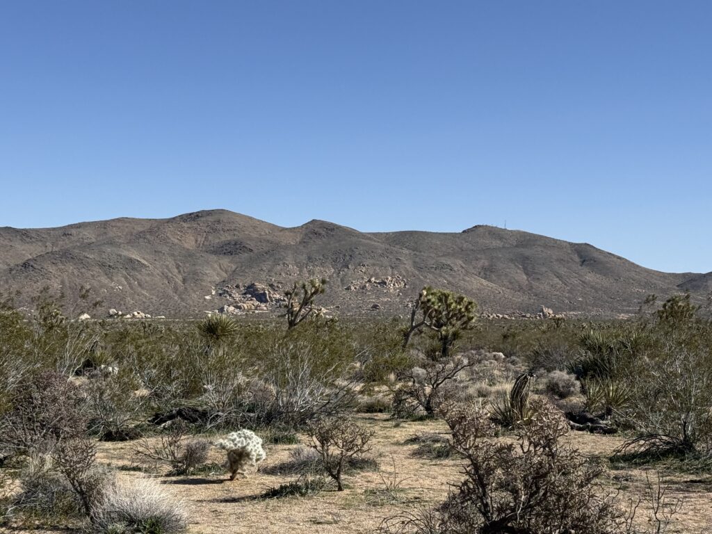A quiet desert landscape with rugged mountains