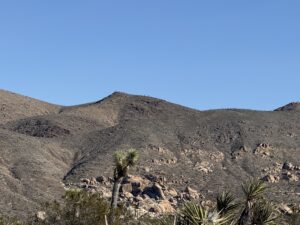 A peaceful desert landscape with rocky mountains, native plants, and a clear blue sky.