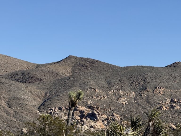 A peaceful desert landscape with rocky mountains, native plants, and a clear blue sky.