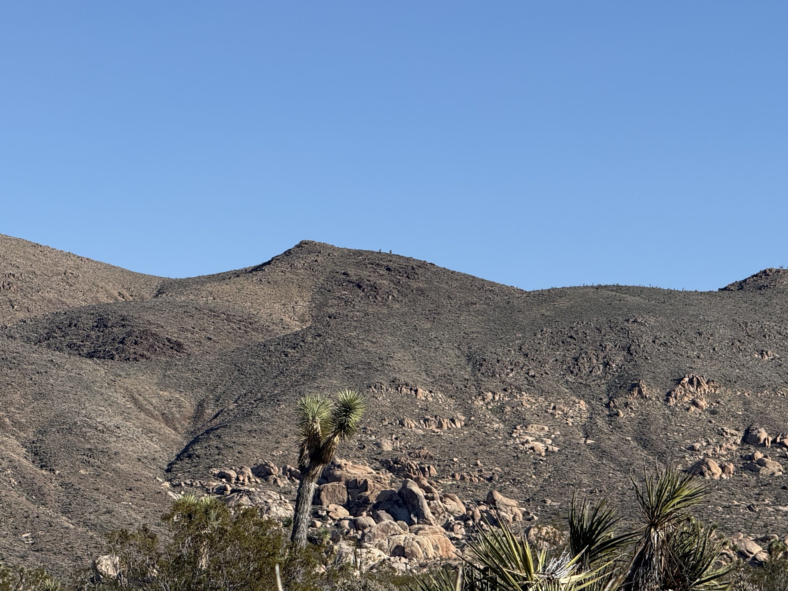 A peaceful desert landscape with rocky mountains, native plants, and a clear blue sky.