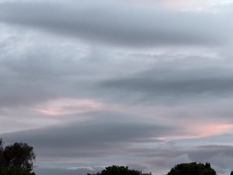 A cloudy evening sky with soft pink light above a dark tree line.