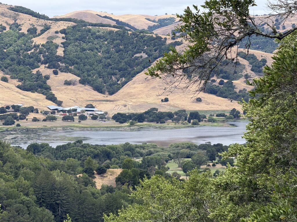 Quiet hills overlooking a peaceful lake