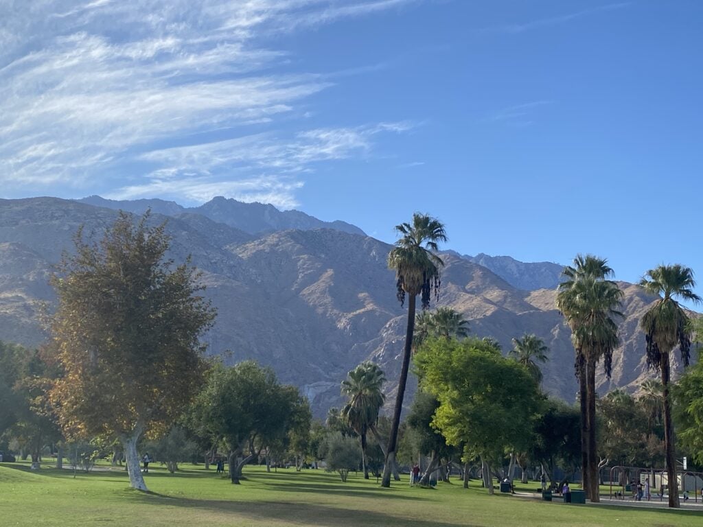 A peaceful park with palm trees, green grass, and mountains beneath a bright blue sky.
