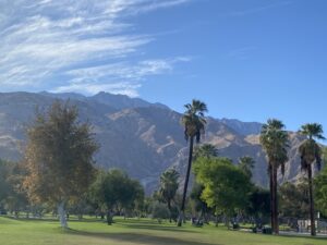 A peaceful park with palm trees, green grass, and mountains beneath a bright blue sky.