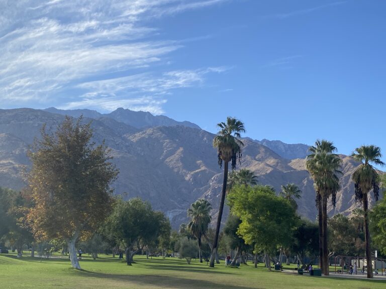 A peaceful park with palm trees, green grass, and mountains beneath a bright blue sky.