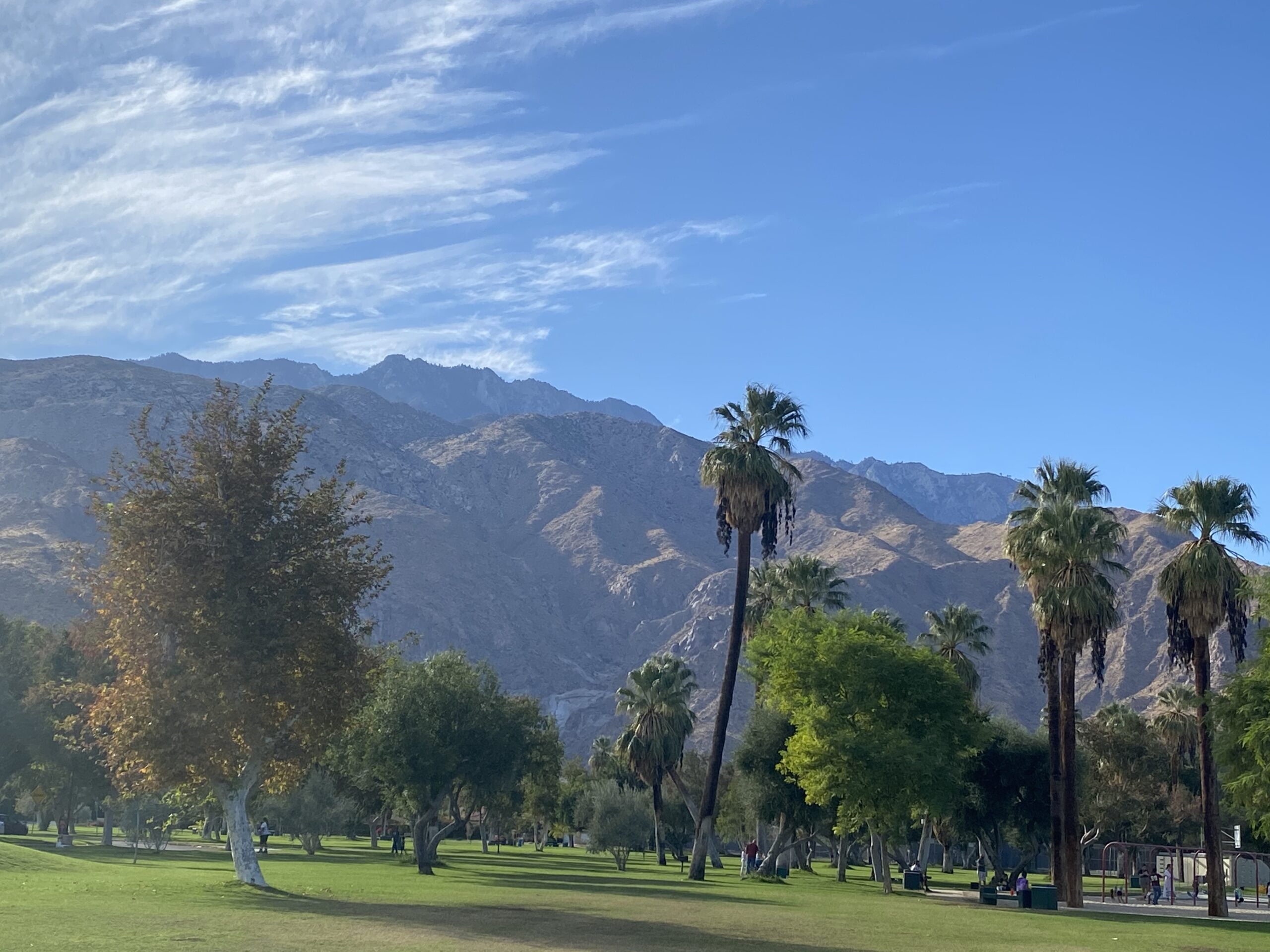 A peaceful park with palm trees, green grass, and mountains beneath a bright blue sky.