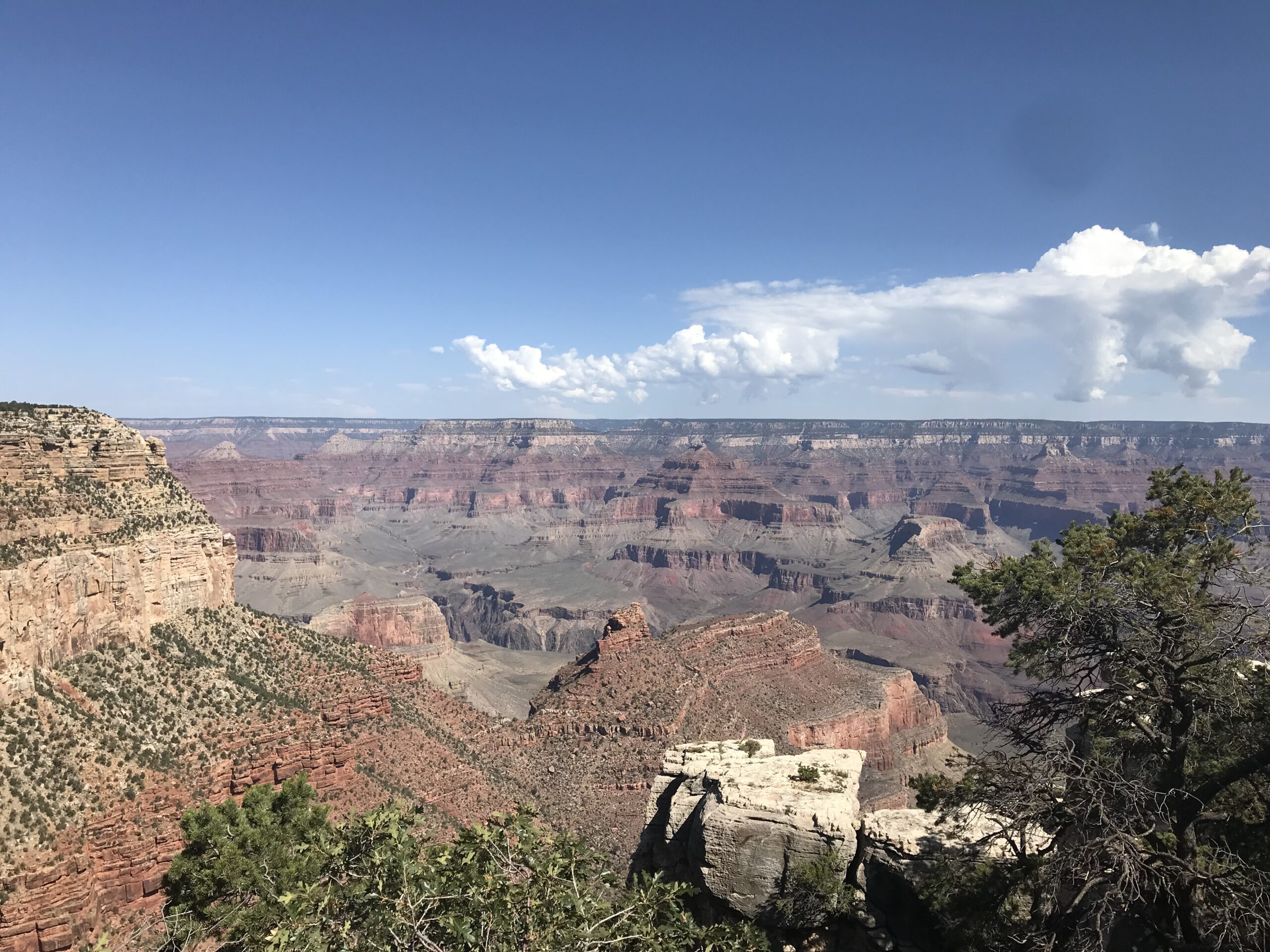 A vast canyon beneath a clear blue sky.
