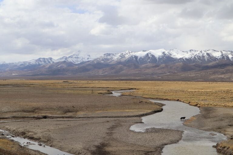A Tibetan valley with streams and snowy mountains.