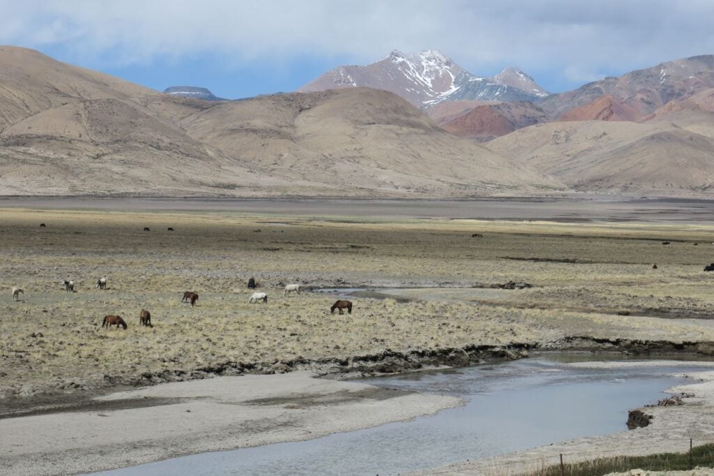 A Tibetan plateau with a river and distant mountains.