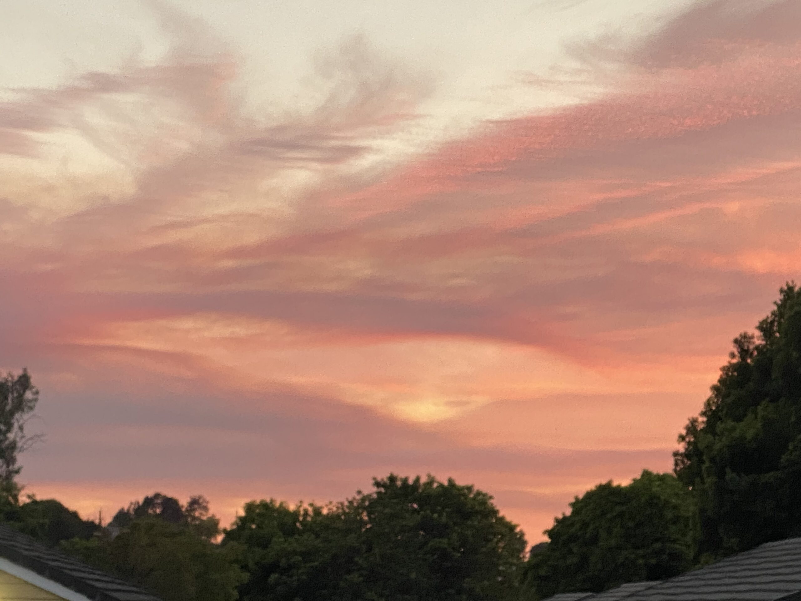 A soft pink and orange sunset above dark green trees and rooftops.