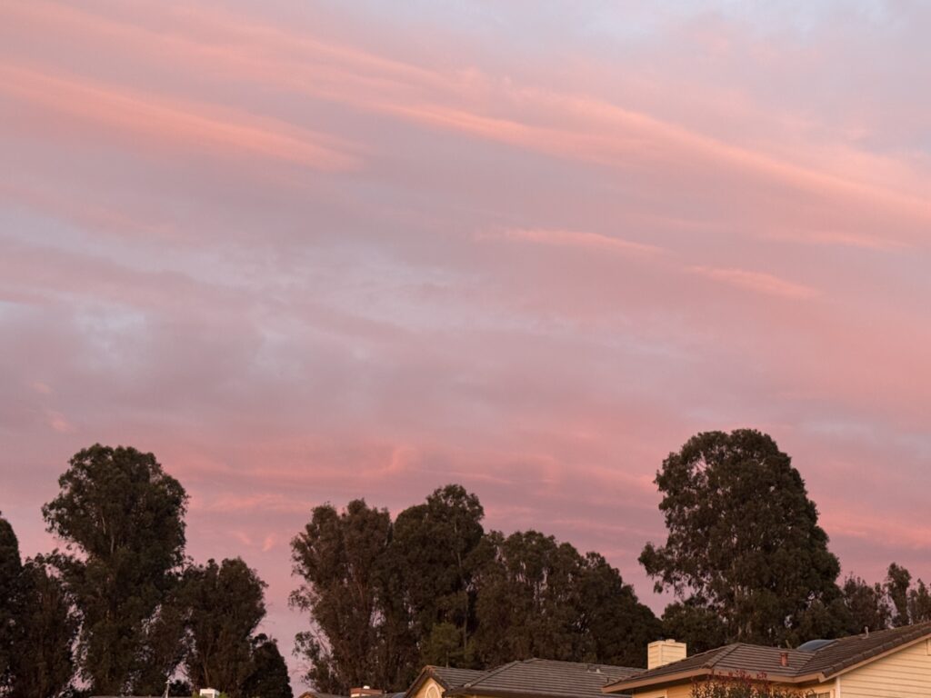 A soft pink sunset sky above tall trees and rooftops.