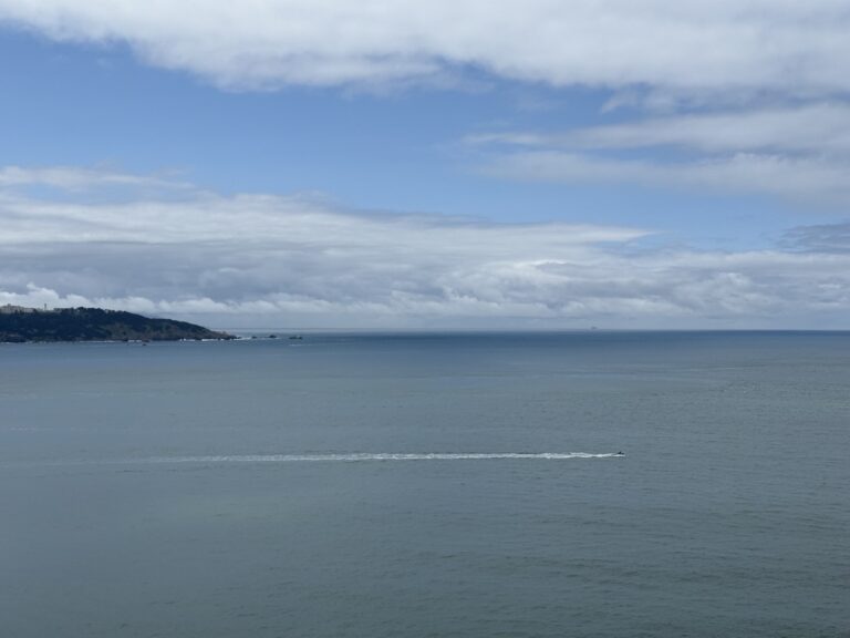 A calm ocean beneath a cloudy sky, with a distant coastline on the horizon