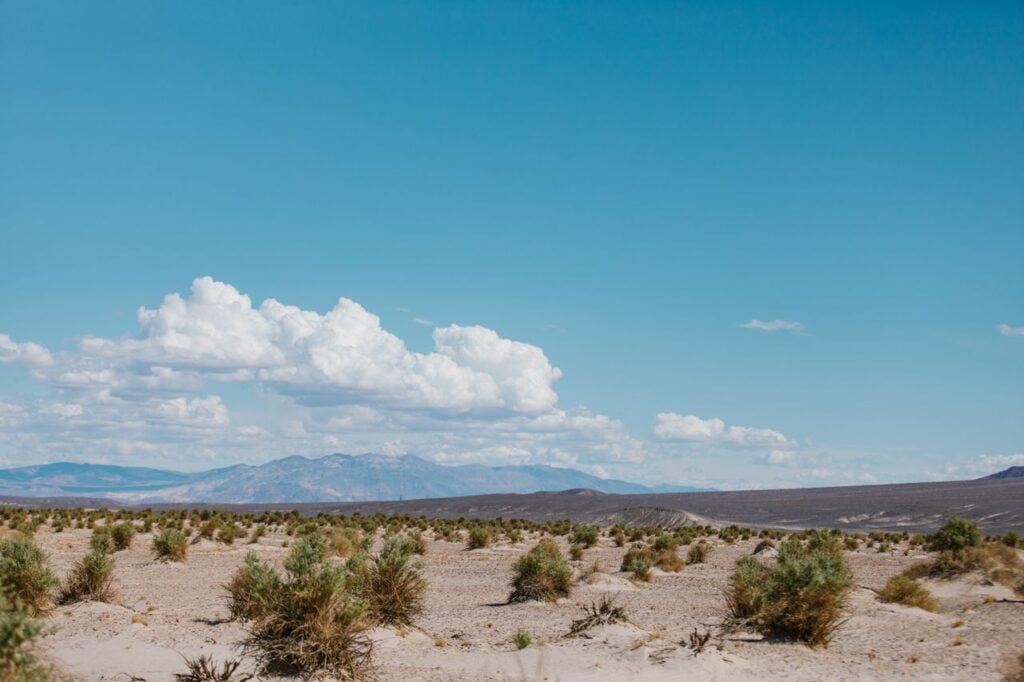 A quiet desert landscape under a bright blue sky