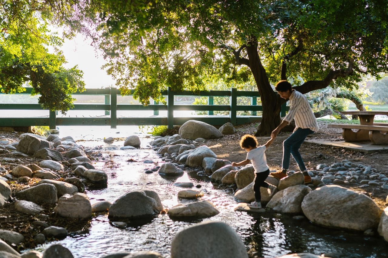 A parent and child cross a shallow creek surrounded by rocks and sunlit trees.