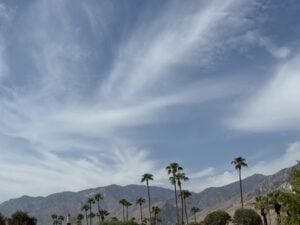 Palm trees rise against a mountain backdrop beneath a wide blue sky with soft, wispy clouds.