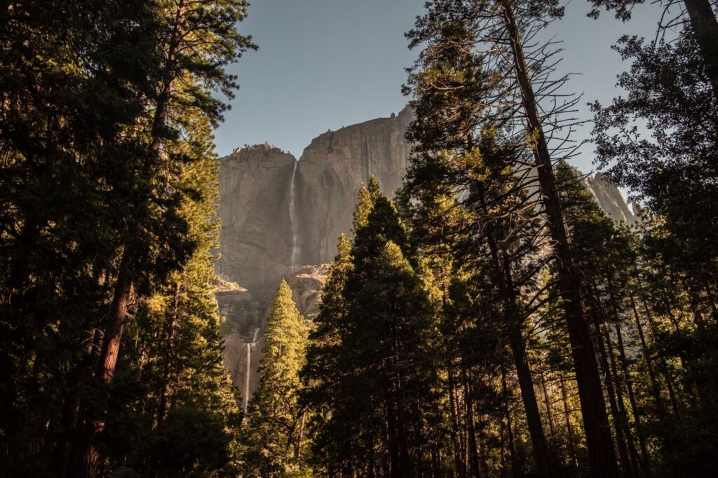 Tall pine trees frame a sunlit granite cliff and waterfall in a quiet mountain landscape.