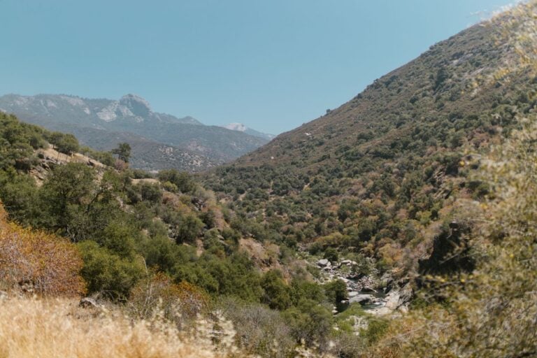 A mountain valley with dry golden grasses, green shrubs, and rocky slopes under a clear blue sky.