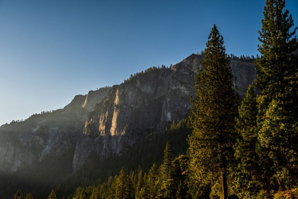 Sunlit granite cliffs rising above a dense pine forest under a clear blue sky.