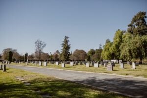 A quiet cemetery with rows of gravestones, green lawns, and tall trees beneath a clear blue sky.