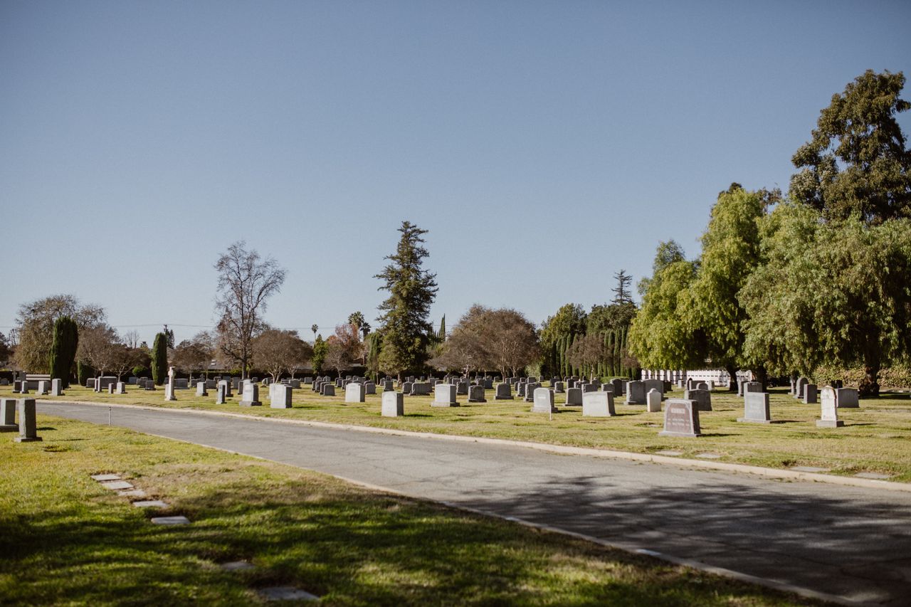 A quiet cemetery with rows of gravestones, green lawns, and tall trees beneath a clear blue sky.